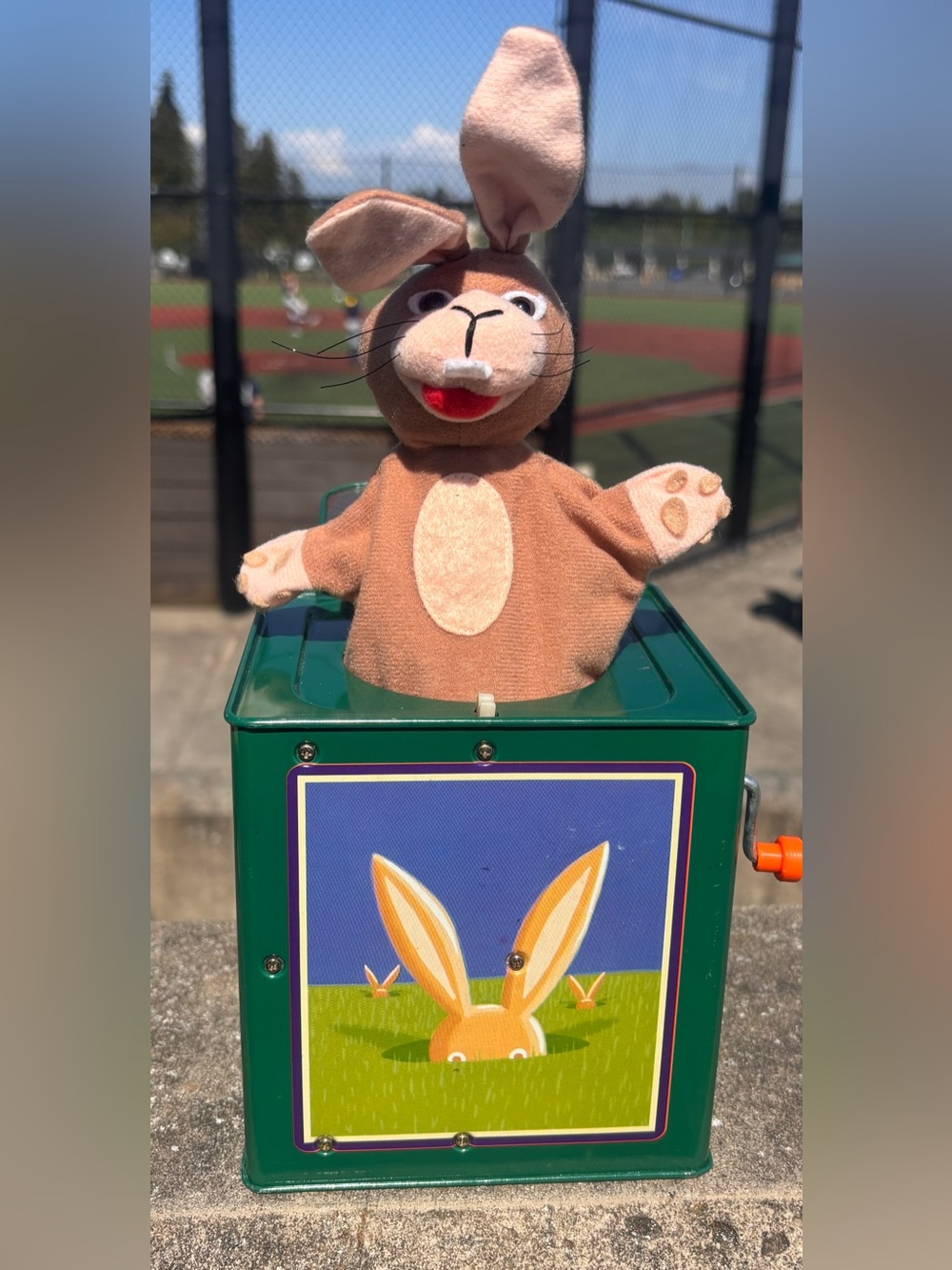 Vintage 1995 The Nature Company Jack Rabbit in the Box